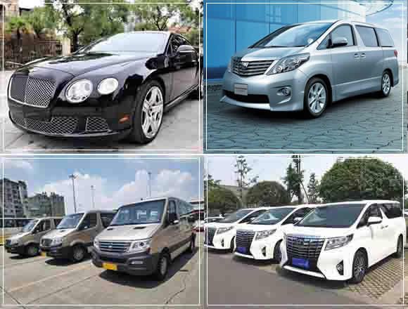 長(zhǎng)春經(jīng)開區(qū)婚禮車隊(duì)